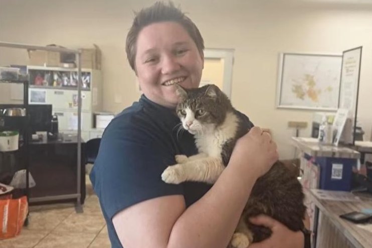 Reunited missing cat
